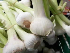 Read more about the article Health benefits of Garlic