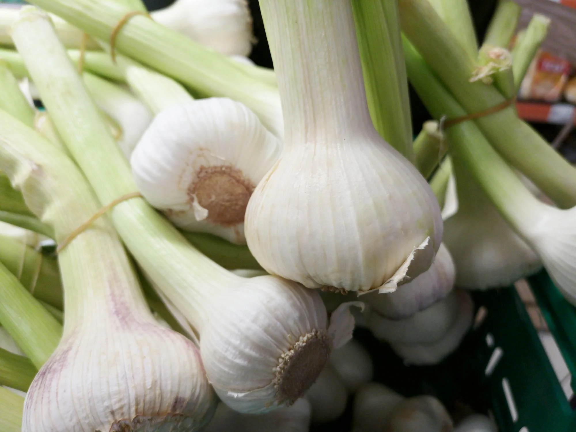 You are currently viewing Health benefits of Garlic